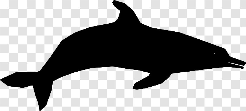 Common Bottlenose Dolphin Porpoise Clip Art Cetaceans - Marine Mammal - Clipart Silhouette Transparent PNG