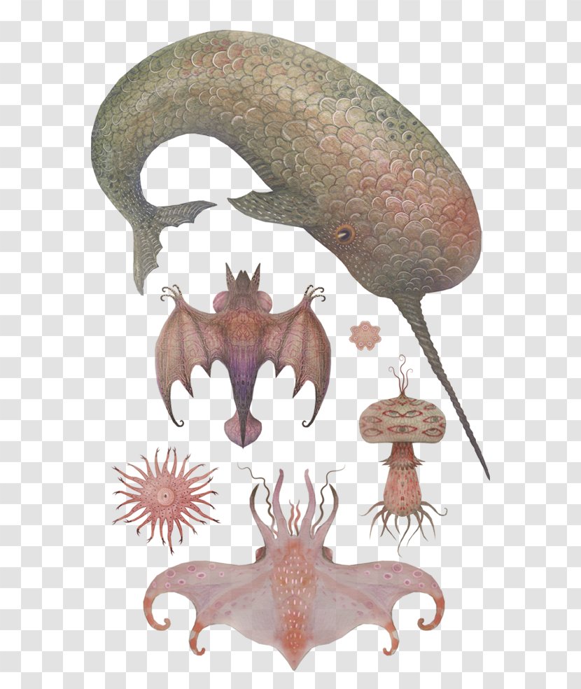 Graphic Design Illustrator Art - Nature Sea Animals Marine Microorganisms Transparent PNG