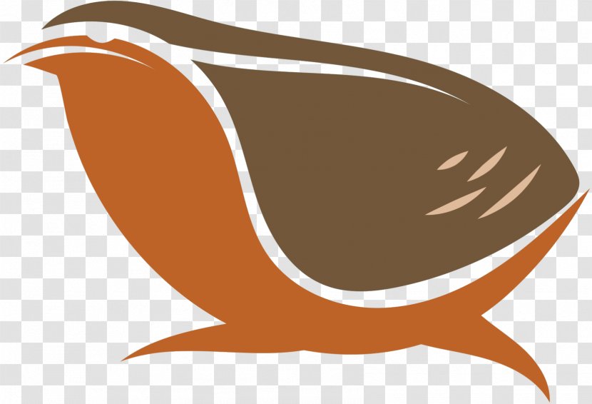 Clip Art Beak Product Design - Orange Sa Transparent PNG