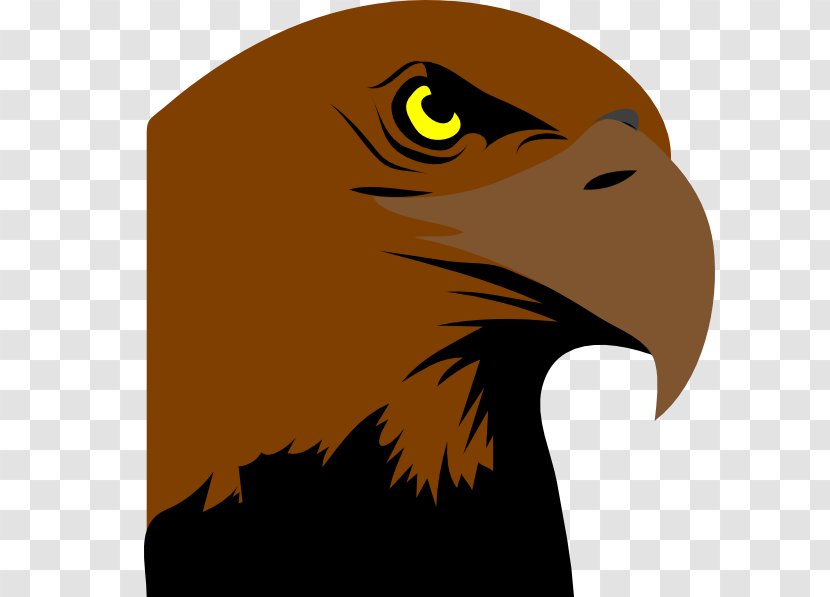 Philadelphia Eagles Bird Logo Clip Art - Fauna - Kepala Rajawali Transparent PNG
