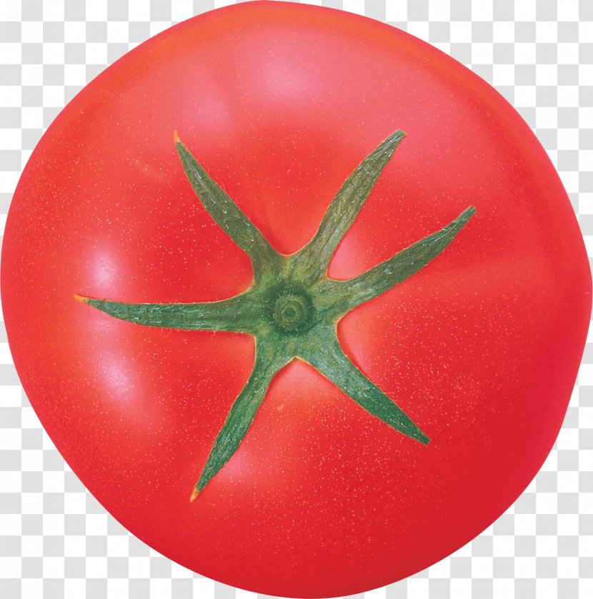 Tomato PhotoScape Vegetable - Fruit - Image Transparent PNG