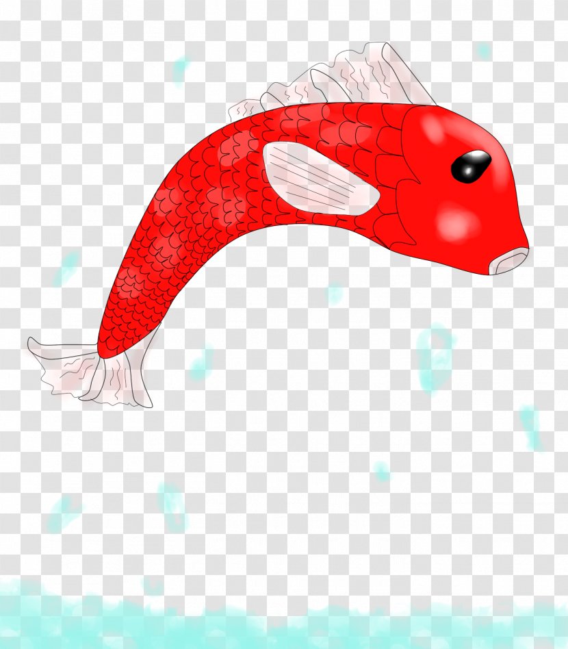 Marine Mammal Beak Fish - Koi Transparent PNG