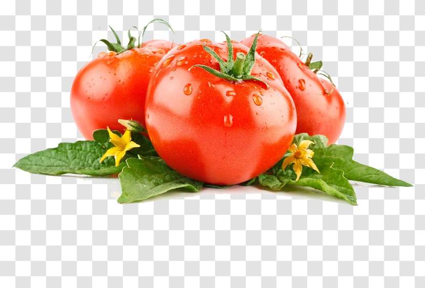 Vegetable Tomato High-definition Video - Fruit Transparent PNG