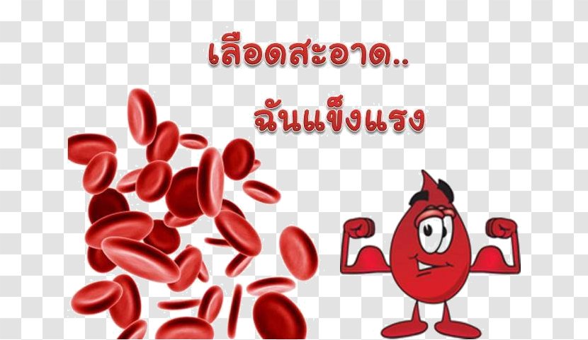 Red Blood Cell White Hematologic Disease - Health Transparent PNG