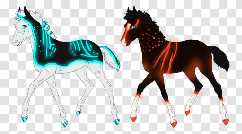 Stallion Foal Mustang Colt Pony Transparent PNG