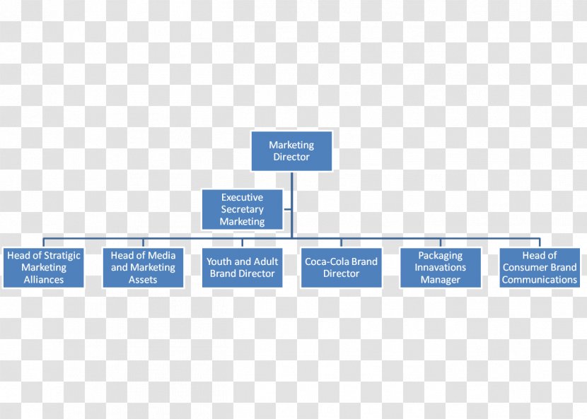 Organizational Chart Structure Company Hierarchical Organization - Brand - Business Publicity Pictures Transparent PNG