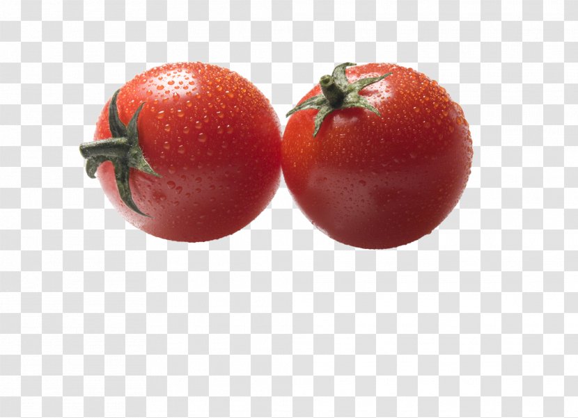 Tomato Cartoon - Cherry Tomatoes - Superfruit Nightshade Family Transparent PNG