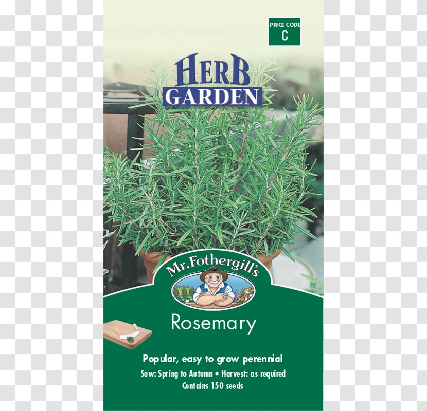 Rosemary Herb Seed Tarragon Spice - Herbal - Plant Transparent PNG