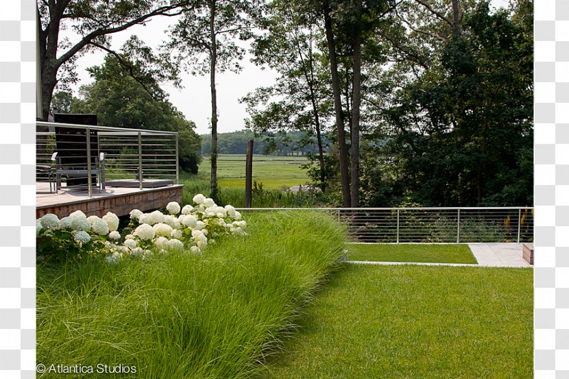 Backyard Fence Garden Paragon Landscape Construction Inc. - Architectural Engineering Transparent PNG