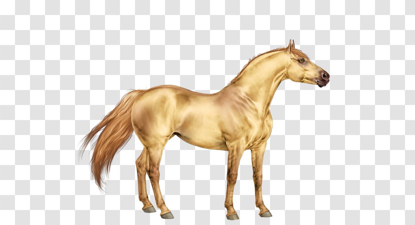Mustang Appaloosa Pony Mane Stallion - Livestock - Horse Head Stall Transparent PNG