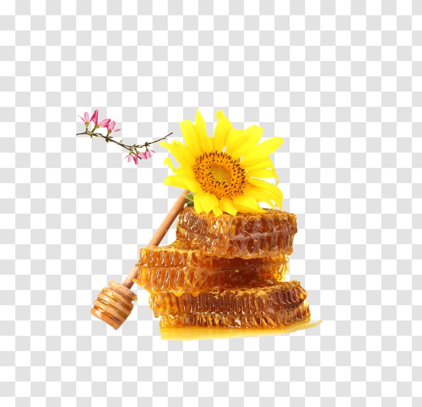 Honey Bee Comb - Jar - HD Sunflower Material Transparent PNG