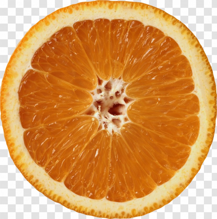 Orange Juice Blood Slice Grapefruit - Fruit Transparent PNG