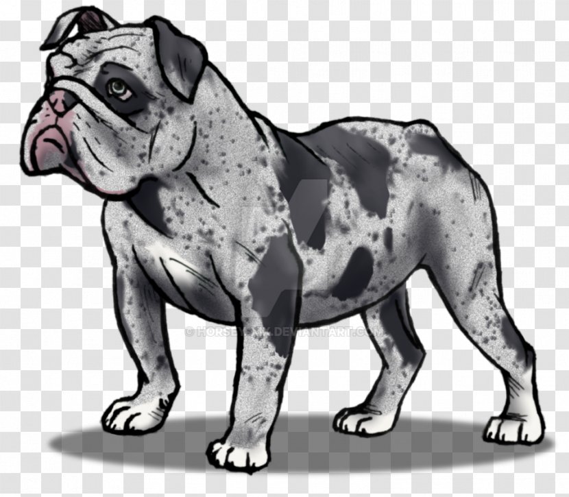 Toy Bulldog Dorset Olde Tyme Bulldogge English Valley Alapaha Blue Blood - Puppy Transparent PNG