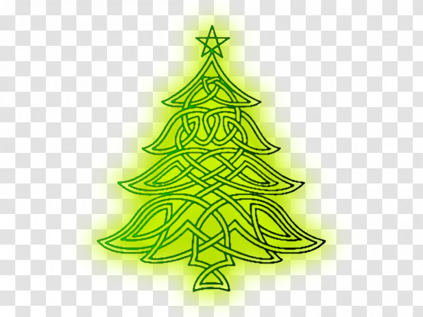 Christmas Tree Lights Photography - Fir Transparent PNG