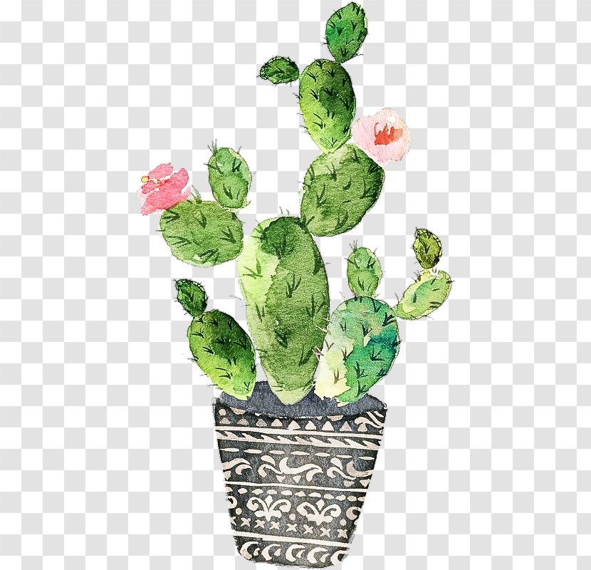 Cactus - Leaf - Houseplant Prickly Pear Transparent PNG
