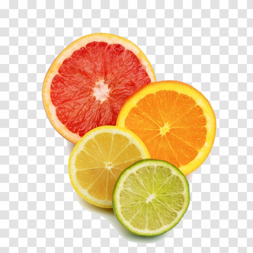 Grapefruit Blood Orange Mandarin Lemon Orangelo - Sitrushibried - Slice Transparent PNG