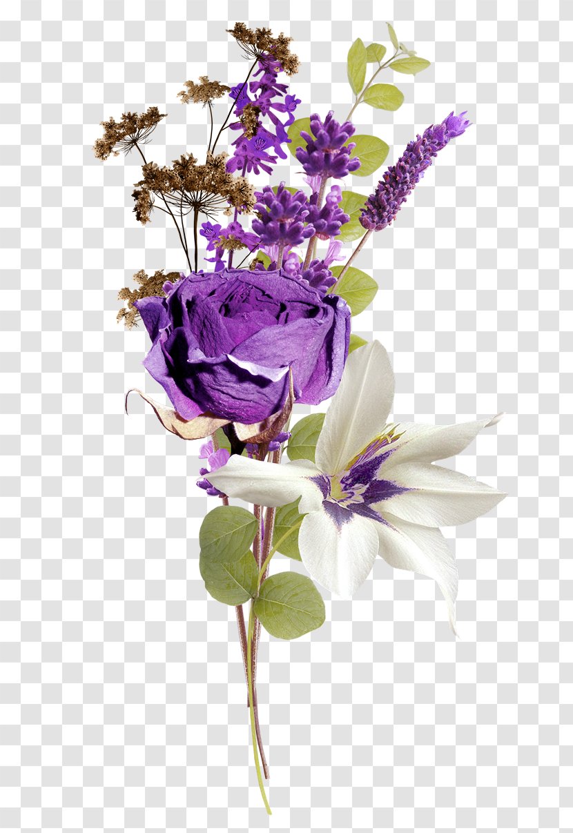 Clip Art Flower English Lavender Image - Violet Transparent PNG