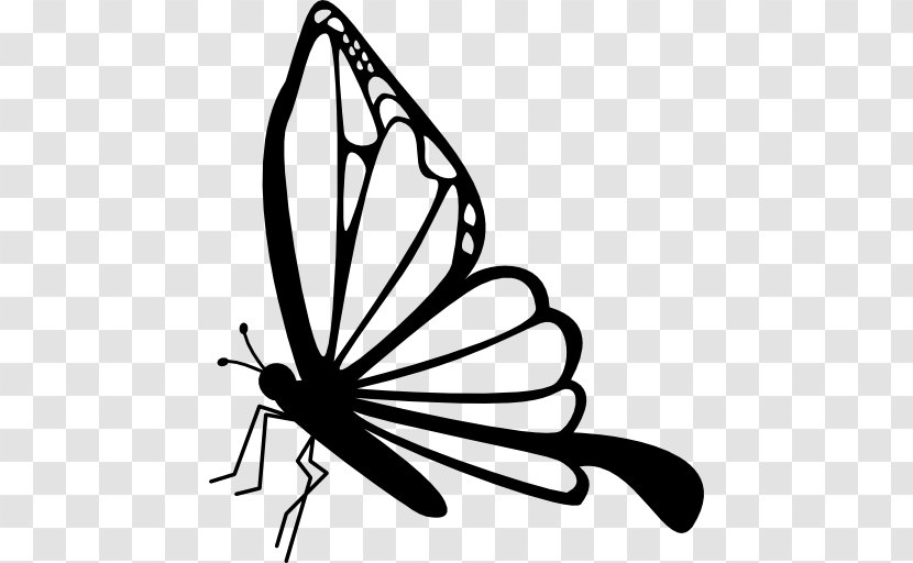 Butterfly Insect Drawing Clip Art - Line Transparent PNG