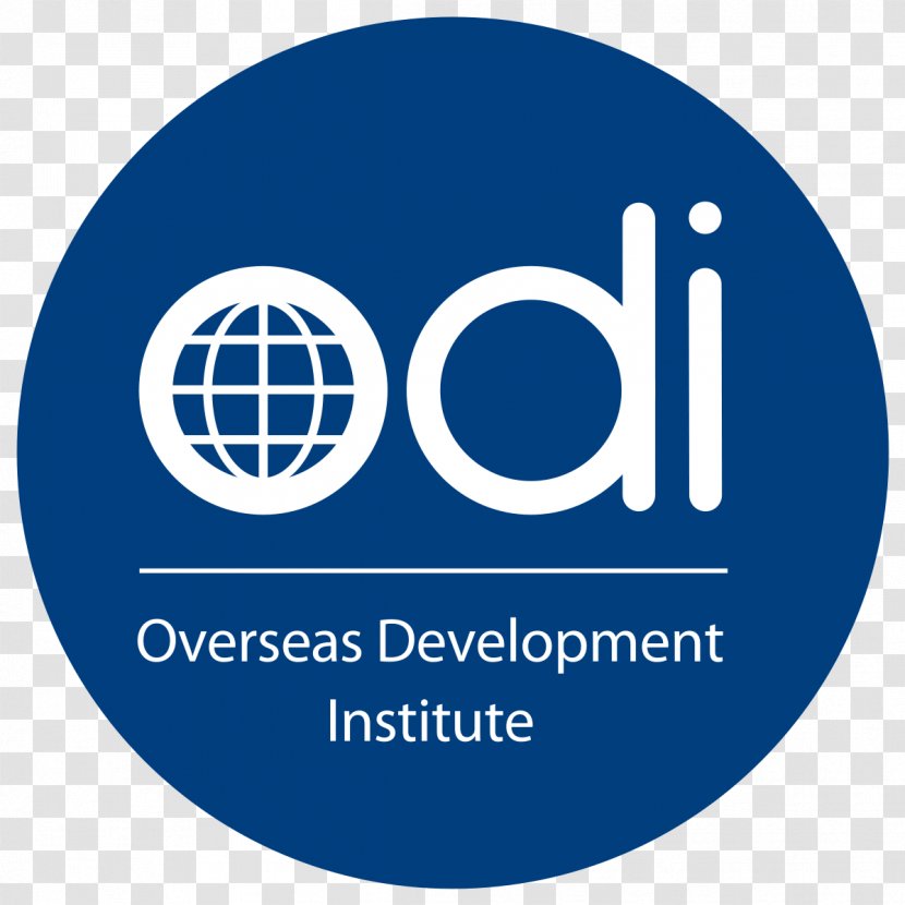 Overseas Development Institute Department For International Developing Country Poverty Reduction - Millennium Goals Transparent PNG