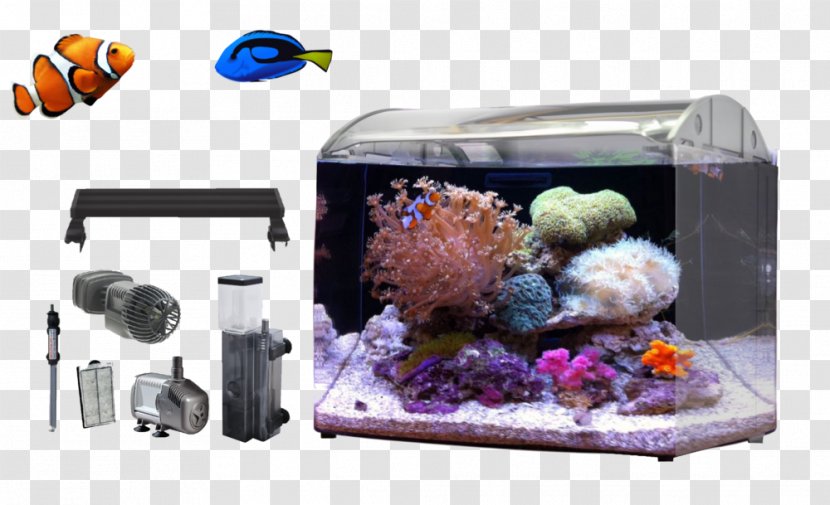 Aquariums Akwarystyka Morska Nano Aquarium Zee Bergen Aan - Plastic - Dream Transparent PNG