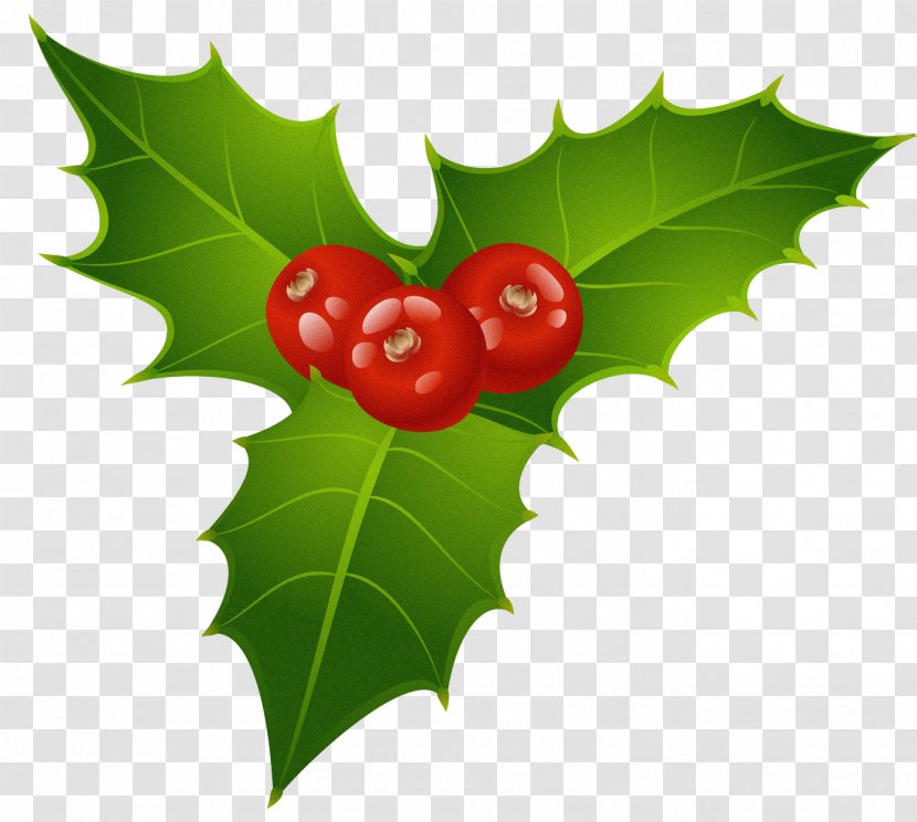 Mistletoe Christmas Common Holly Candy Cane Clip Art - Clipart Transparent PNG