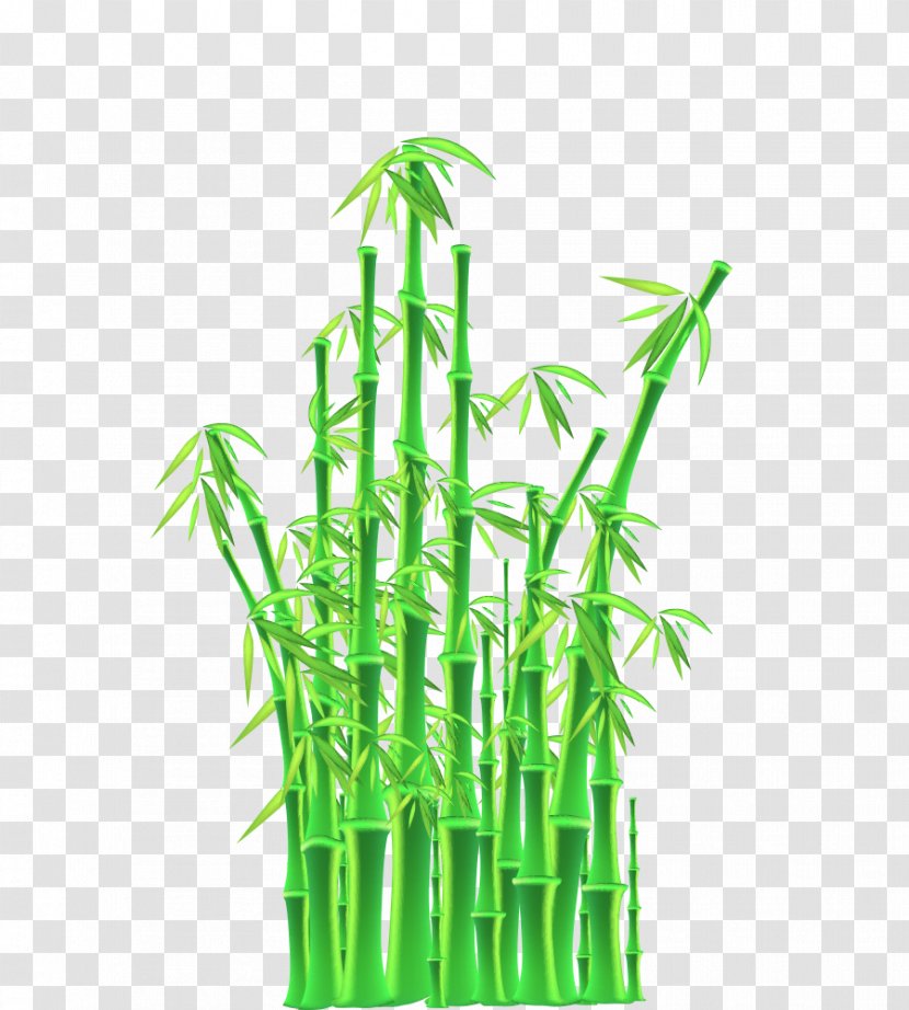 Euclidean Vector Bamboo Stock Photography - Plant Stem - Material Transparent PNG