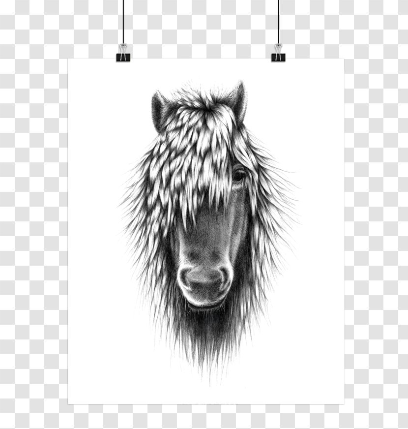 Horse Illustration Drawing Poster Image - What About Us Transparent PNG
