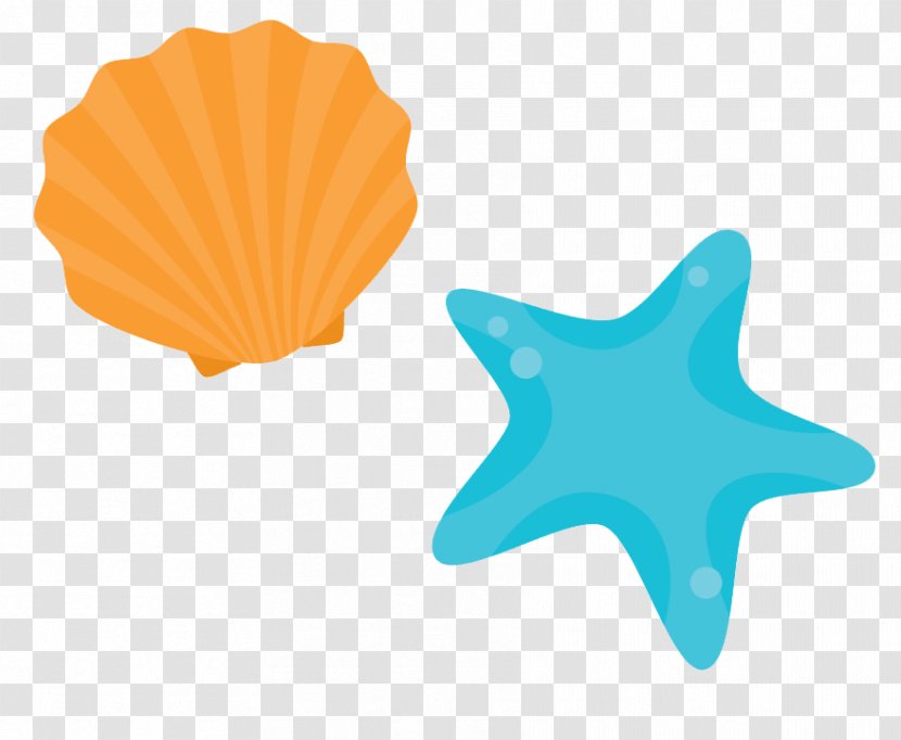 Shore Seashell Beach - Ocean - Vector Cartoon Starfish Shell Transparent PNG