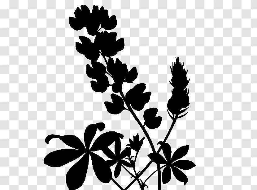 Twig Plant Stem Leaf Font Silhouette - Botany Transparent PNG