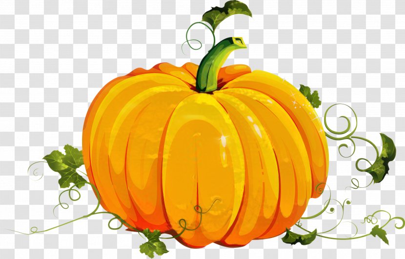 Pumpkin Vector Graphics Clip Art Image - Fruit Transparent PNG