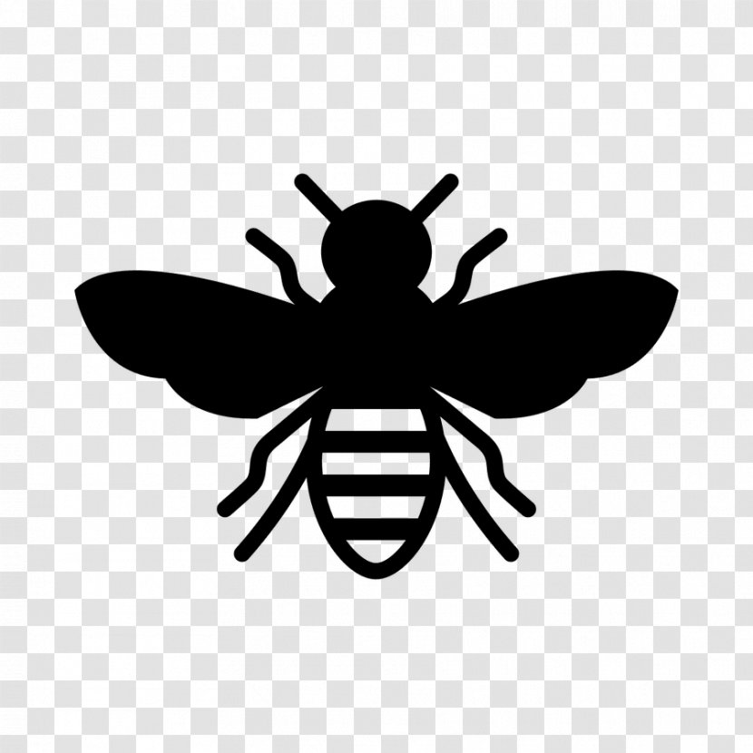 European Dark Bee Insect Stencil Honey - Fly - Bees Transparent PNG