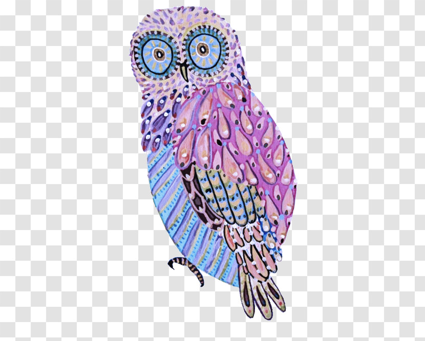 Owl Bird Barn Owl Bird Of Prey Beak Transparent PNG