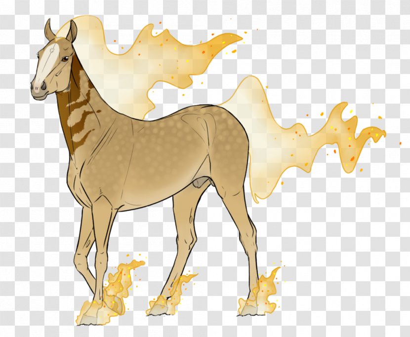 Mustang Deer Pack Animal Character Fauna Transparent PNG