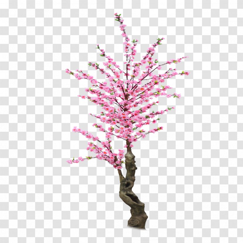 Cherry Blossom Cerasus Material - Branch - Lovely Hand-painted Trees Buckle Free Transparent PNG