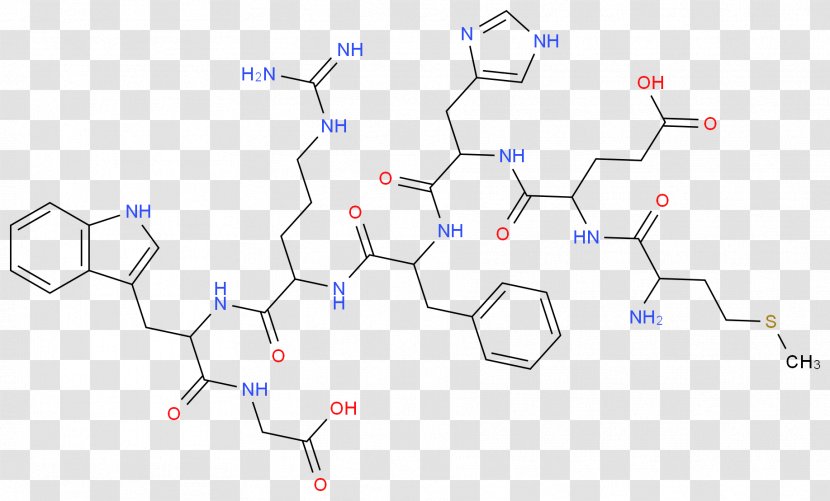 Amine Organic Chemistry Acid Chemical Reaction - Technology - Growth Hormone Molecular Structure Transparent PNG