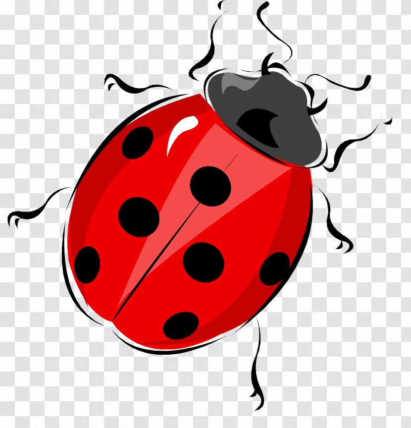 Ladybird Life Cycle Of A Ladybug Diagram Beetle Worksheet - Artwork - Bug Transparent PNG