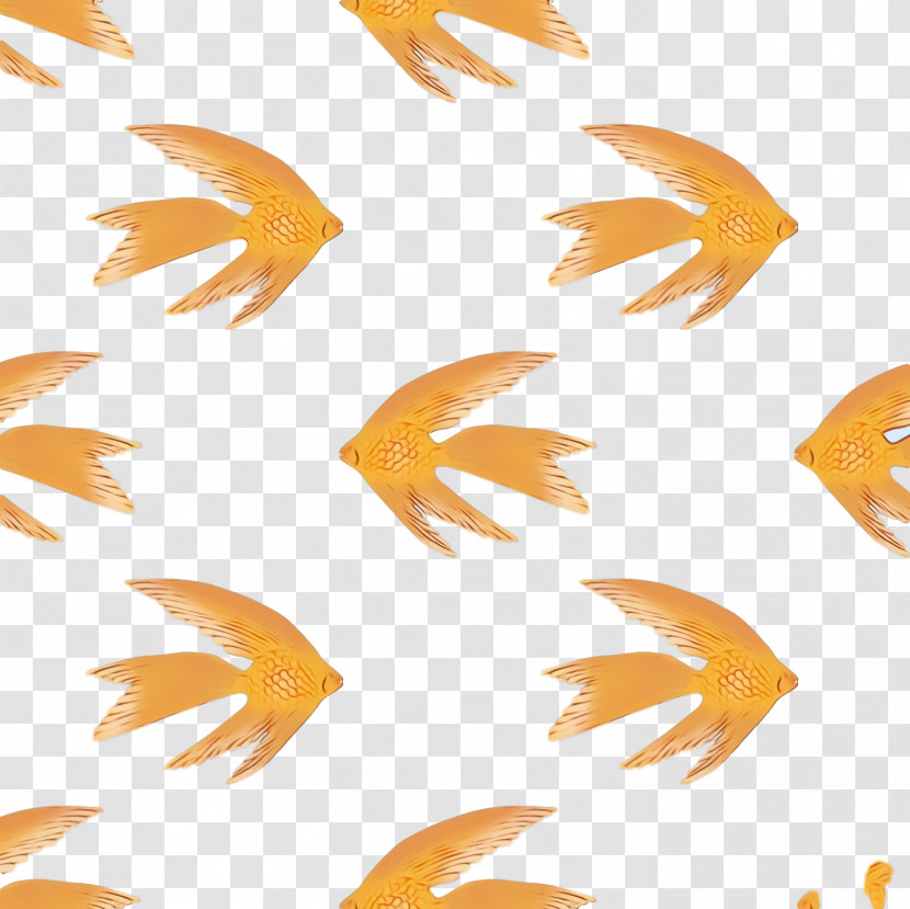 Fish Petal Pattern Biology Science Transparent PNG