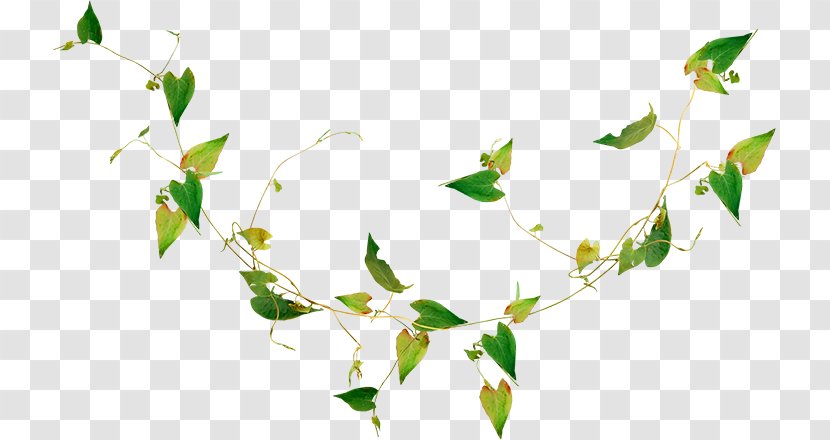 Leaf Render Desktop Wallpaper Nature Estethicoiff - Branch Transparent PNG