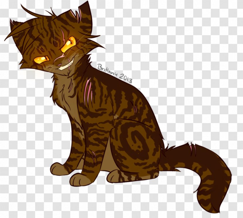 Kitten Whiskers Tigerstar Warriors Cat - Whitestorm Transparent PNG