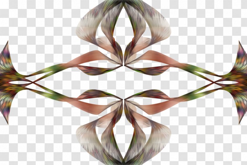 Petal Symmetry - Flower Transparent PNG