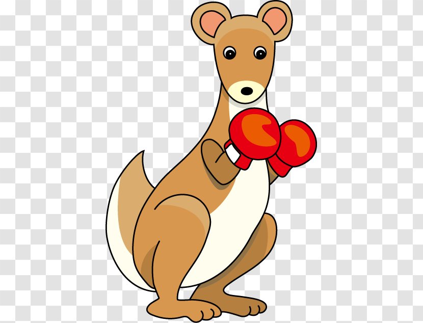 Kangaroo Meat Mammal Australia Animal - Dog Like - Boxing Transparent PNG