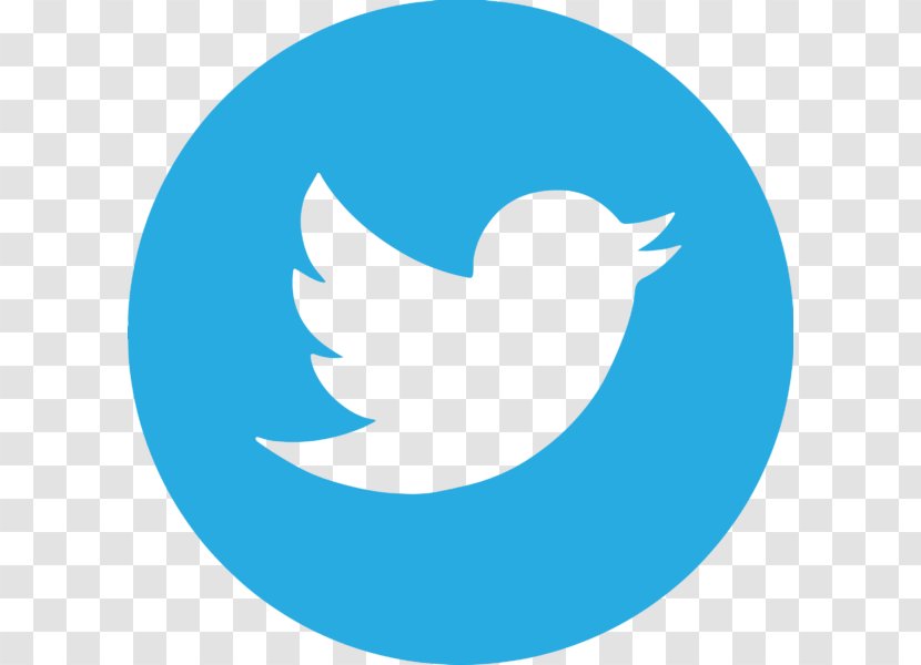 Social Media Logo - Bird Transparent PNG