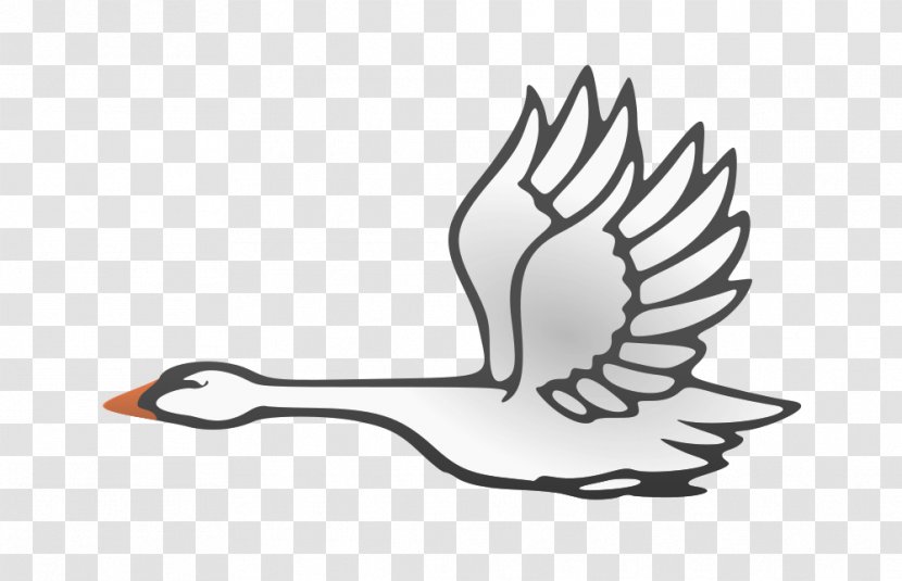 Bird Cygnini Flight Duck Goose - Plant - Swan Transparent PNG
