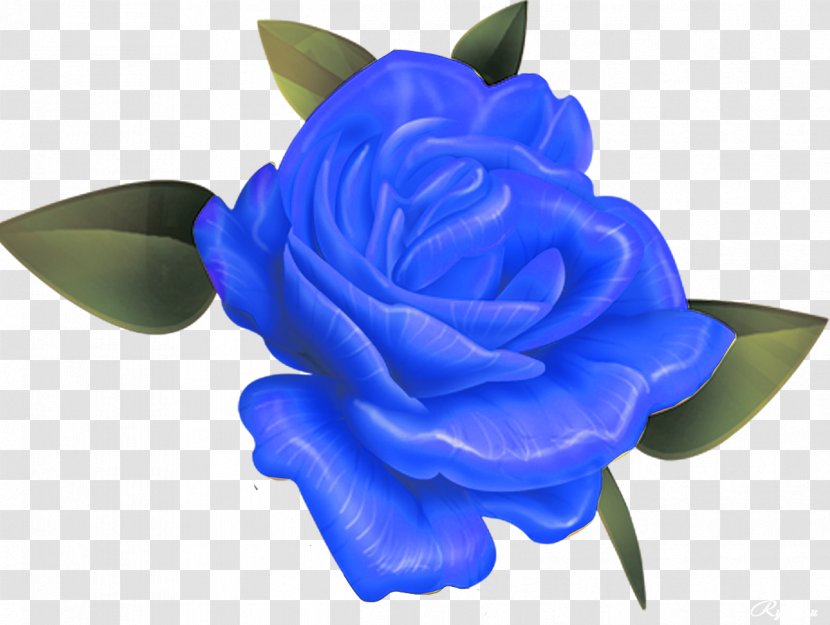 Blue Rose Garden Roses Flower - Cut Flowers - Blue-green Transparent PNG