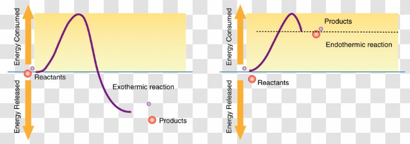 Chemical Reaction Anabolism Exothermic Catabolism Chemistry - Area Transparent PNG