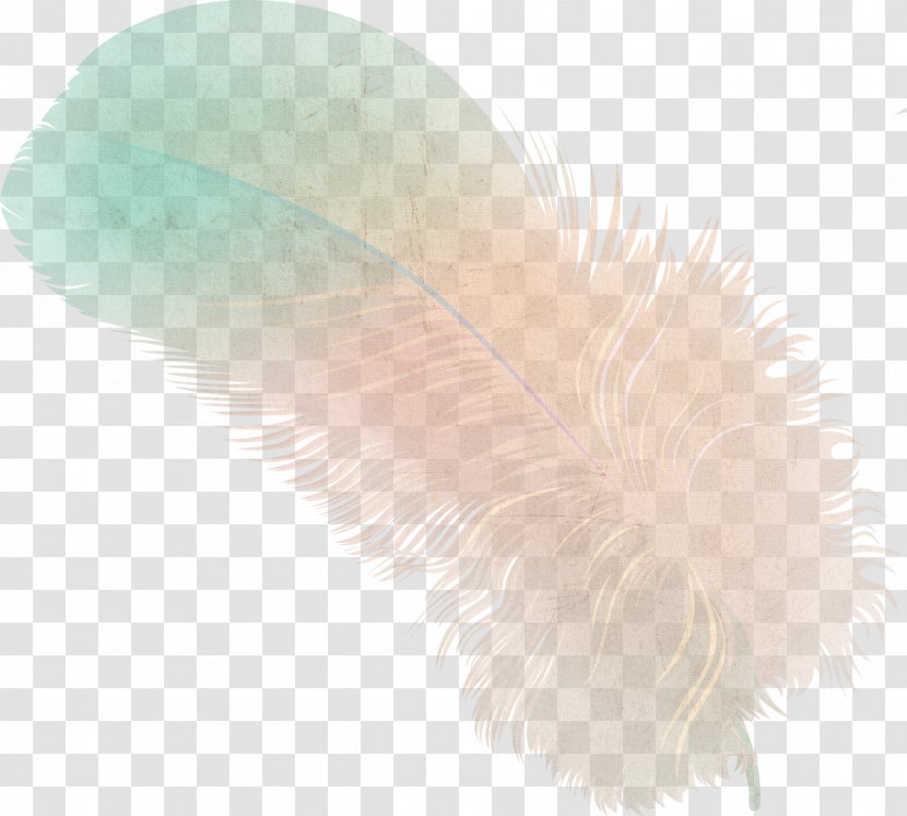 Feather - Twinkle Aj Transparent PNG