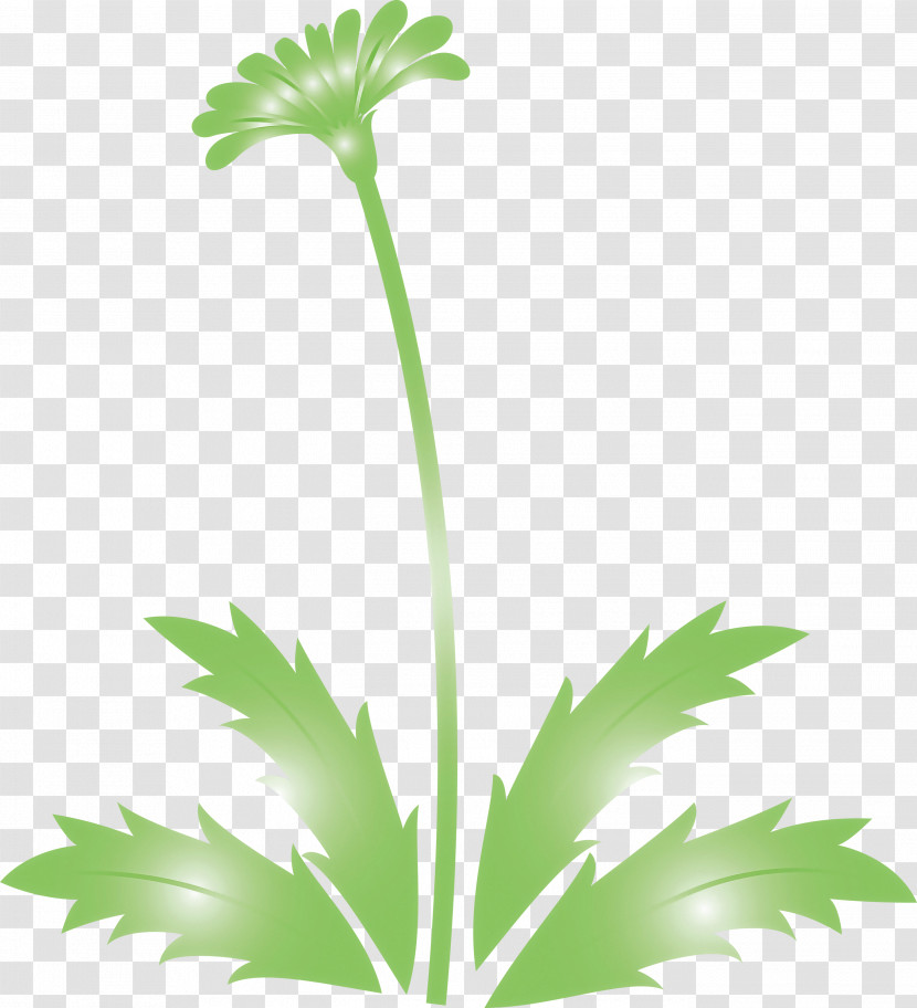 Dandelion Flower Easter Day Flower Spring Flower Transparent PNG