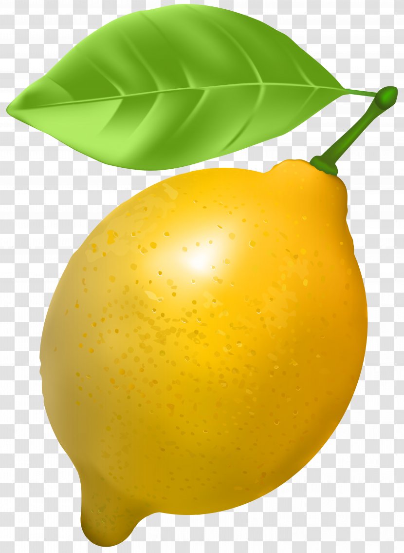 Sweet Lemon Citron Tangerine Clip Art Transparent PNG