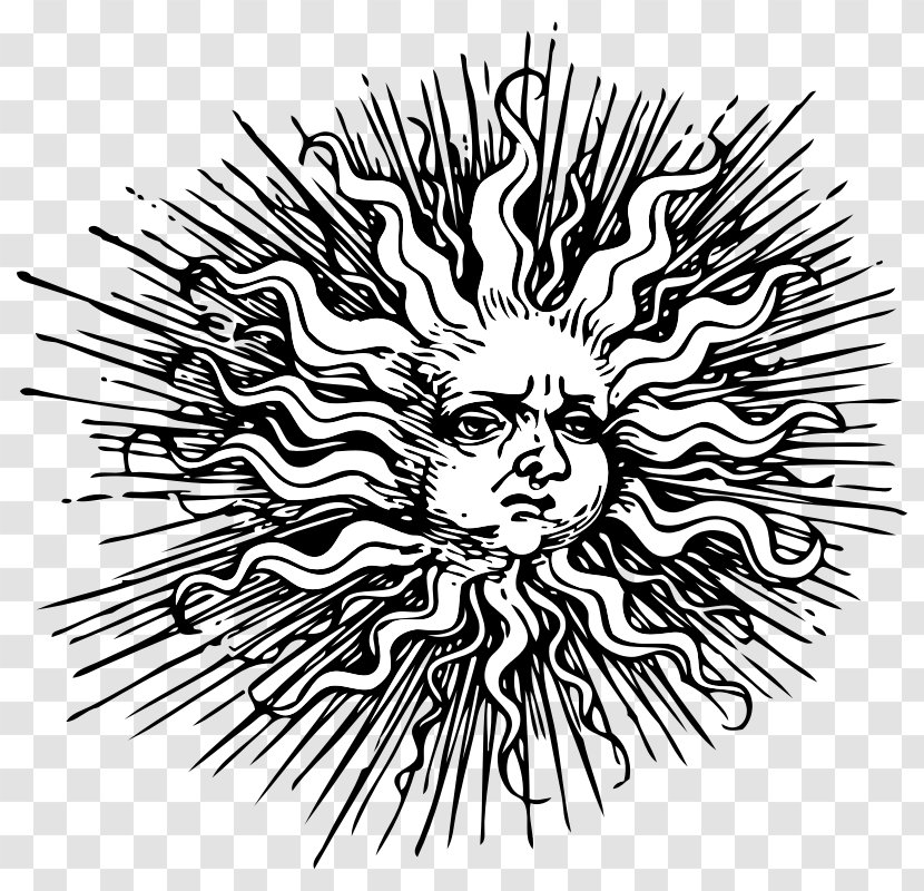 Drawing Line Art Clip - Tree - Black And White Sun Transparent PNG
