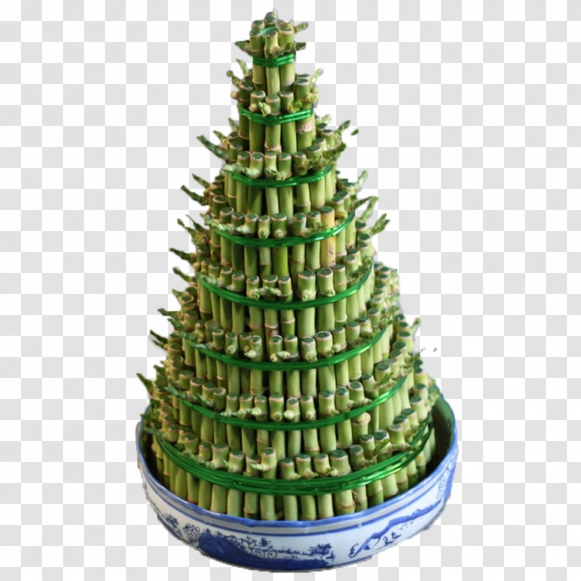 Christmas Tree Spruce Fir Ornament - Decoration - Lucky Bamboo In Kind Transparent PNG